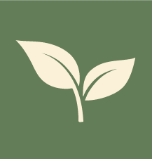 Correção com critério