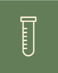 Correção com critério